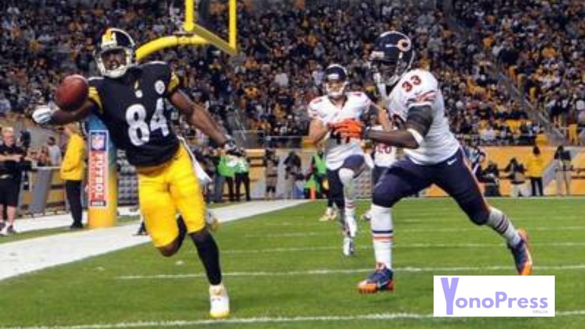 bears vs steelers all time record